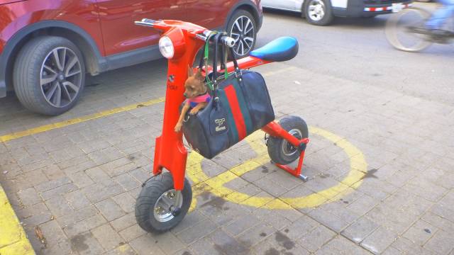 morning picdump 52 pics 23.html - 52 HD Photos | Premium Gallery 2019