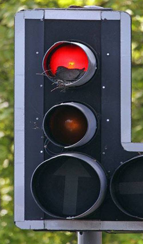 morning picdump 52 pics 23.html - 52 HD Photos | Premium Gallery 2019