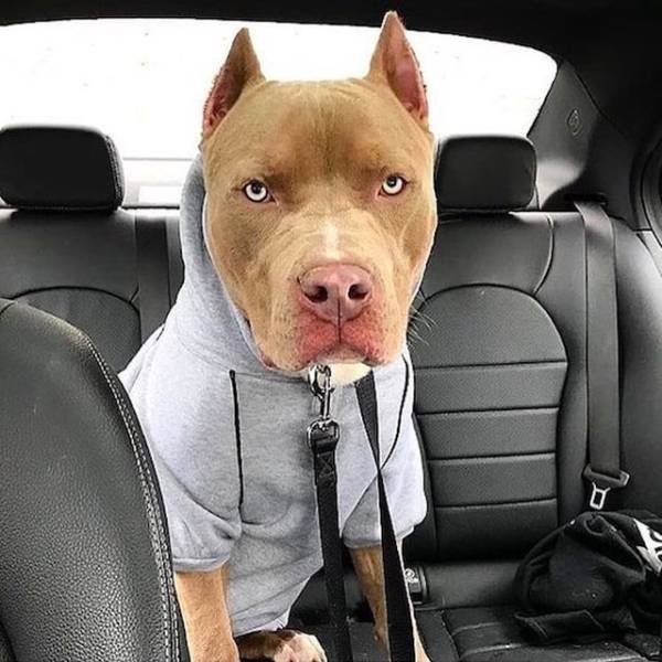 daily picdump 105 pics 38.html - 105 HD Photos | Premium Gallery 2019