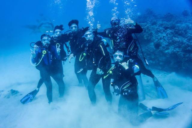 daily picdump 105 pics 38.html - 105 HD Photos | Premium Gallery 2019