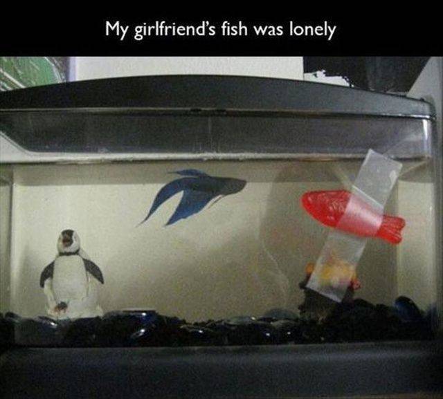 daily picdump 105 pics 38.html - 105 HD Photos | Premium Gallery 2019