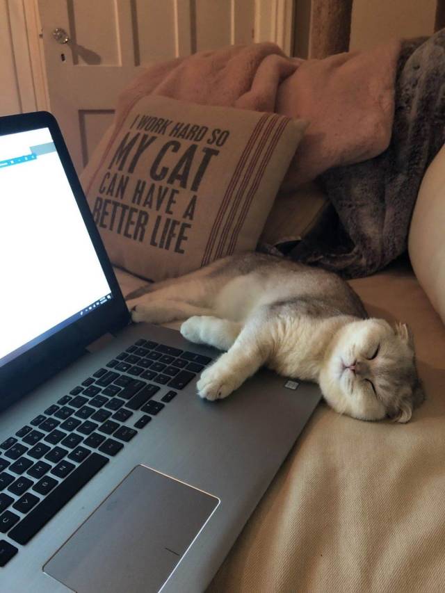 daily picdump 105 pics 38.html - 105 HD Photos | Premium Gallery 2019