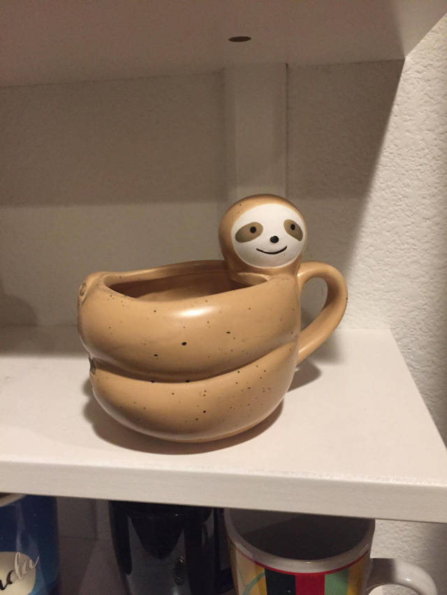 morning picdump 51 pics 12.html - 51 HD Photos | Premium Gallery 2019