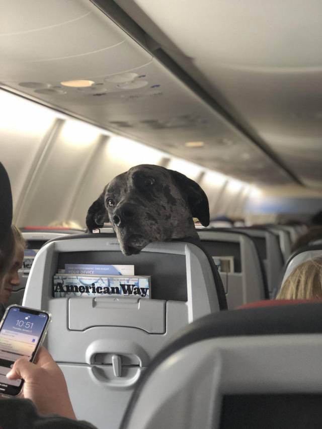 morning picdump 51 pics 12.html - 51 HD Photos | Premium Gallery 2019