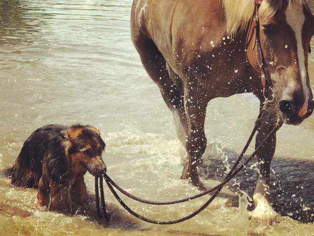 daily picdump 81 pics 35.html - 81 HD Photos | Premium Gallery 2019