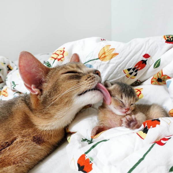 daily picdump 81 pics 35.html - 81 HD Photos | Premium Gallery 2019