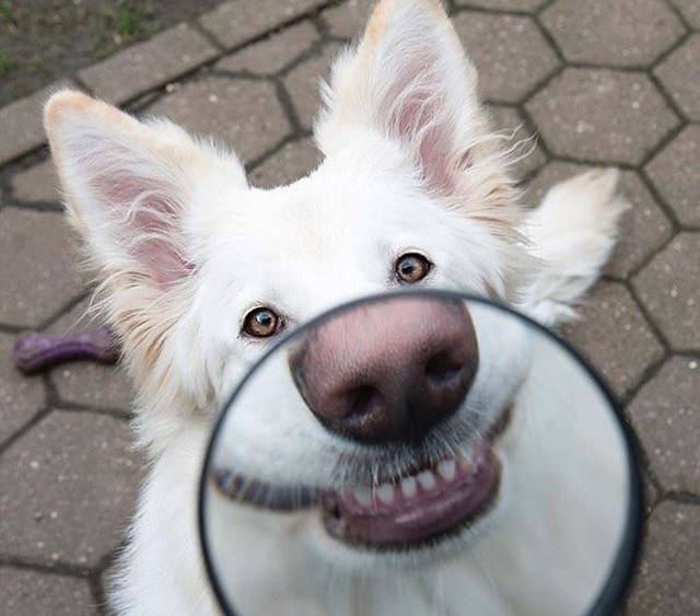 daily picdump 81 pics 35.html - 81 HD Photos | Premium Gallery 2019