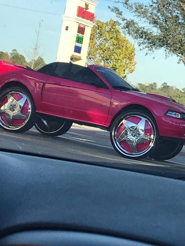 daily picdump 81 pics 35.html - 81 HD Photos | Premium Gallery 2019