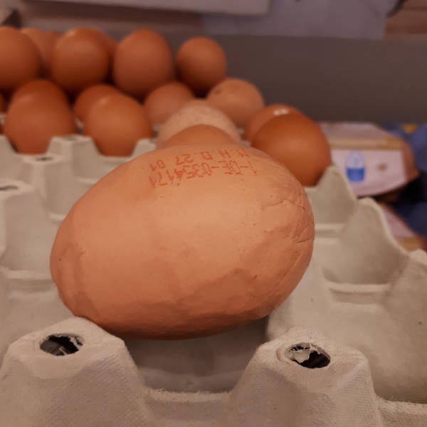 morning picdump 54 pics 3.html - 54 HD Photos | Premium Gallery 2019