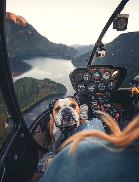 morning picdump 54 pics 3.html - 54 HD Photos | Premium Gallery 2019