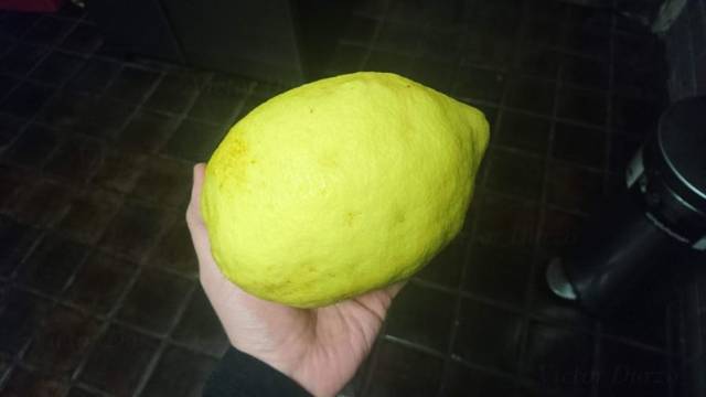 daily picdump 101 pics 42.html - 101 HD Photos | Premium Gallery 2019