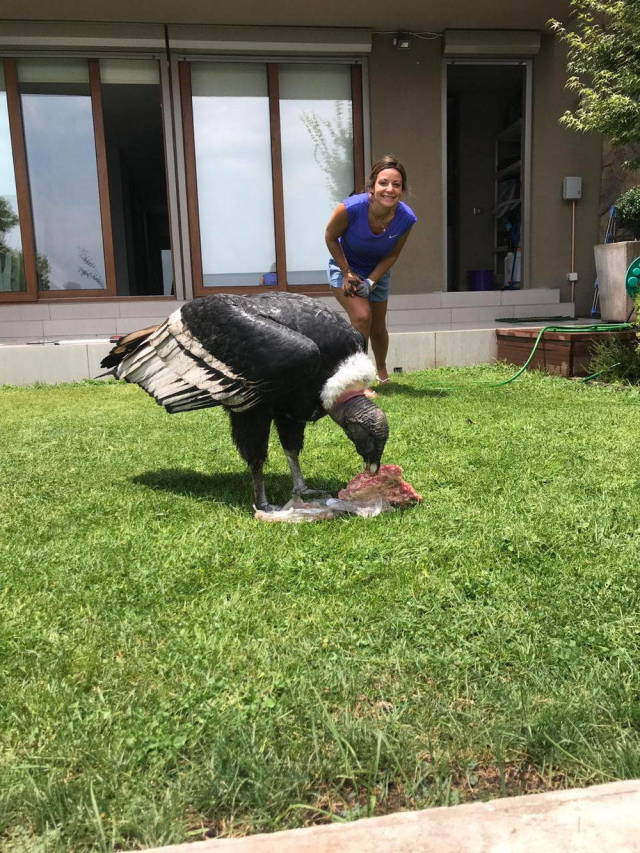 daily picdump 101 pics 42.html - 101 HD Photos | Premium Gallery 2019