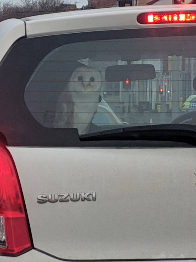 daily picdump 101 pics 42.html - 101 HD Photos | Premium Gallery 2019