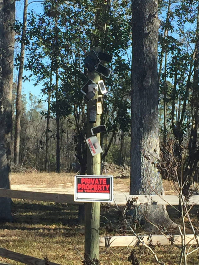 daily picdump 101 pics 42.html - 101 HD Photos | Premium Gallery 2019