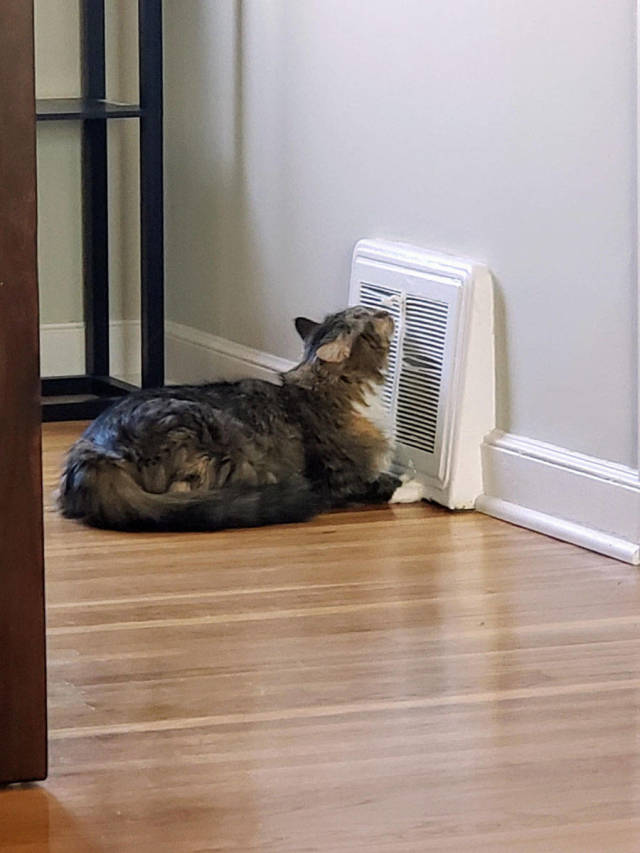 daily picdump 101 pics 42.html - 101 HD Photos | Premium Gallery 2019