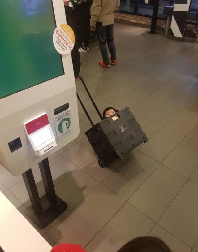 daily picdump 101 pics 42.html - 101 HD Photos | Premium Gallery 2019