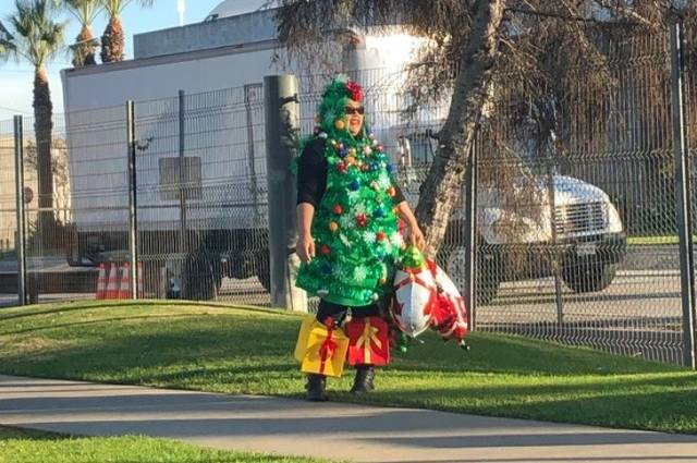 daily picdump 101 pics 42.html - 101 HD Photos | Premium Gallery 2019