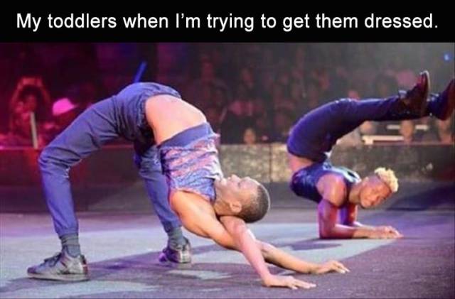 funny picdump 53 pics 21.html - 53 HD Photos | Premium Gallery 2019