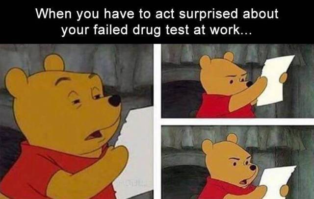 funny picdump 53 pics 21.html - 53 HD Photos | Premium Gallery 2019