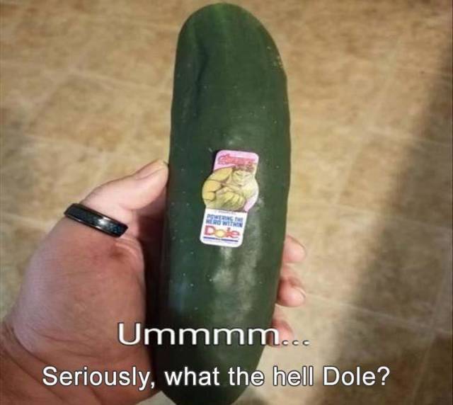 funny picdump 53 pics 21.html - 53 HD Photos | Premium Gallery 2019