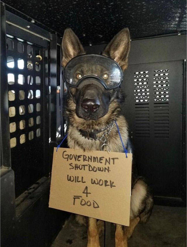 morning picdump 54 pics 18.html - 54 HD Photos | Premium Gallery 2019