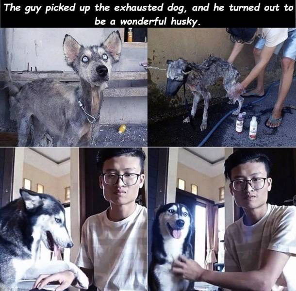 Daily Picdump [WEEKEND EDITION]