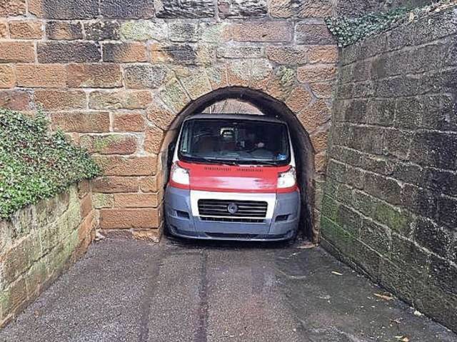 daily picdump weekend edition 63 pics 2.html - 63 HD Photos | Premium Gallery 2019