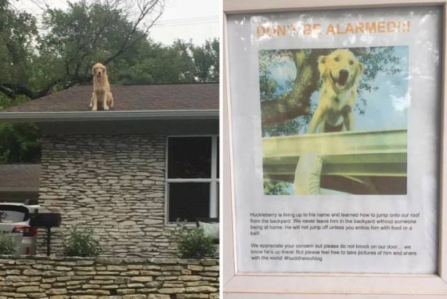 daily picdump weekend edition 63 pics 2.html - 63 HD Photos | Premium Gallery 2019