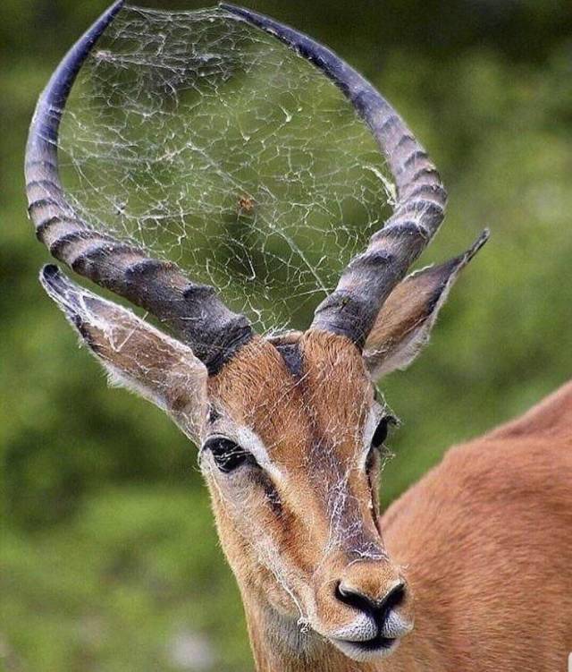 daily picdump 103 pics 38.html - 103 HD Photos | Premium Gallery 2019