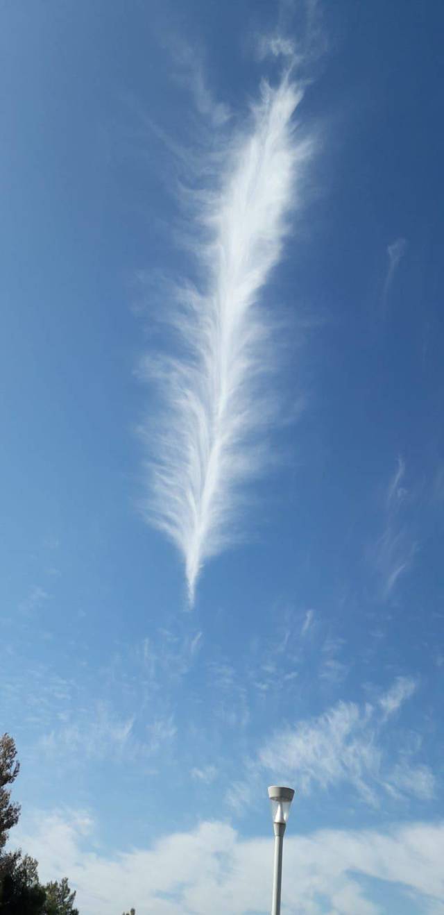 daily picdump 103 pics 38.html - 103 HD Photos | Premium Gallery 2019