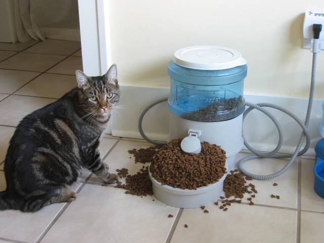 daily picdump 93 pics 9.html - 93 HD Photos | Premium Gallery 2019