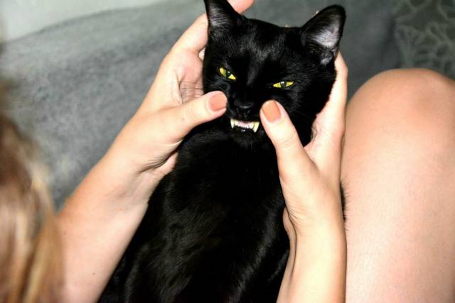 daily picdump 93 pics 9.html - 93 HD Photos | Premium Gallery 2019