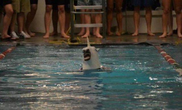 daily picdump 93 pics 9.html - 93 HD Photos | Premium Gallery 2019