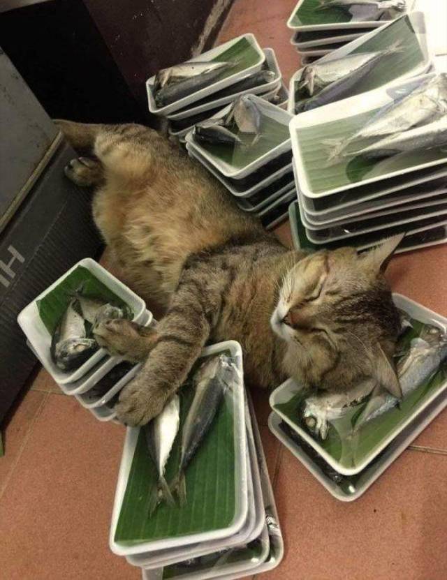 daily picdump 93 pics 9.html - 93 HD Photos | Premium Gallery 2019