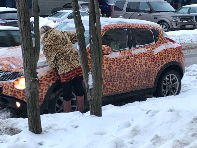 daily picdump 96 pics 3.html - 96 HD Photos | Premium Gallery 2019