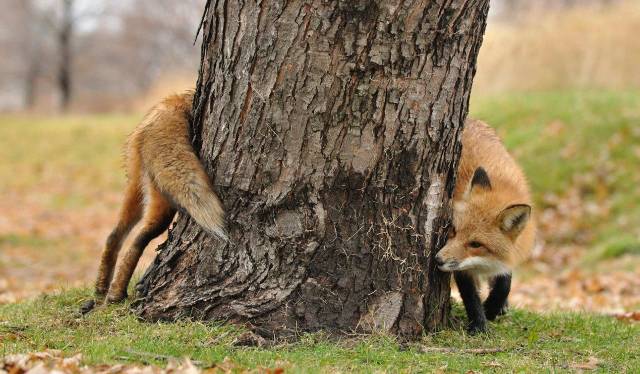 daily picdump 96 pics 3.html - 96 HD Photos | Premium Gallery 2019