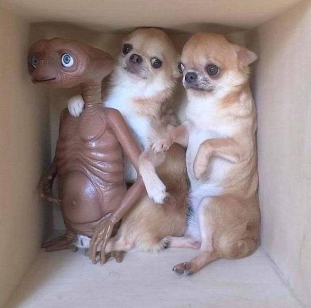 daily picdump 96 pics 3.html - 96 HD Photos | Premium Gallery 2019