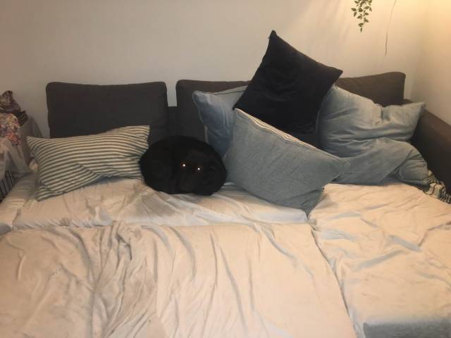 daily picdump 96 pics 3.html - 96 HD Photos | Premium Gallery 2019