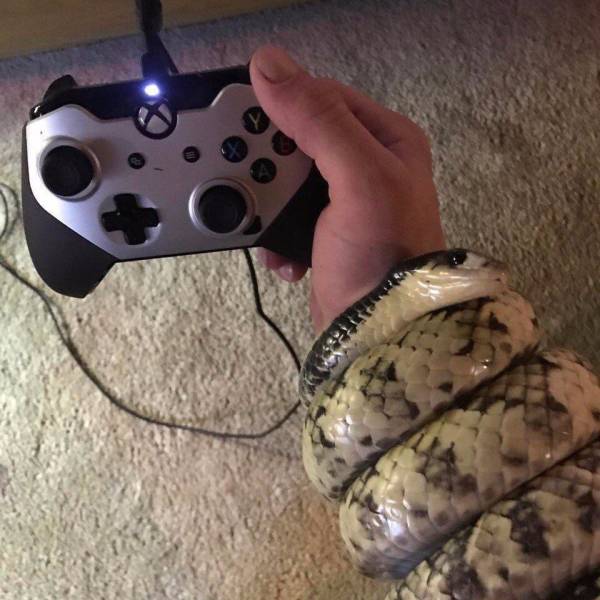 daily picdump 96 pics 3.html - 96 HD Photos | Premium Gallery 2019