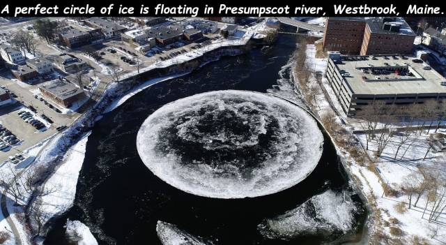 daily picdump 96 pics 3.html - 96 HD Photos | Premium Gallery 2019