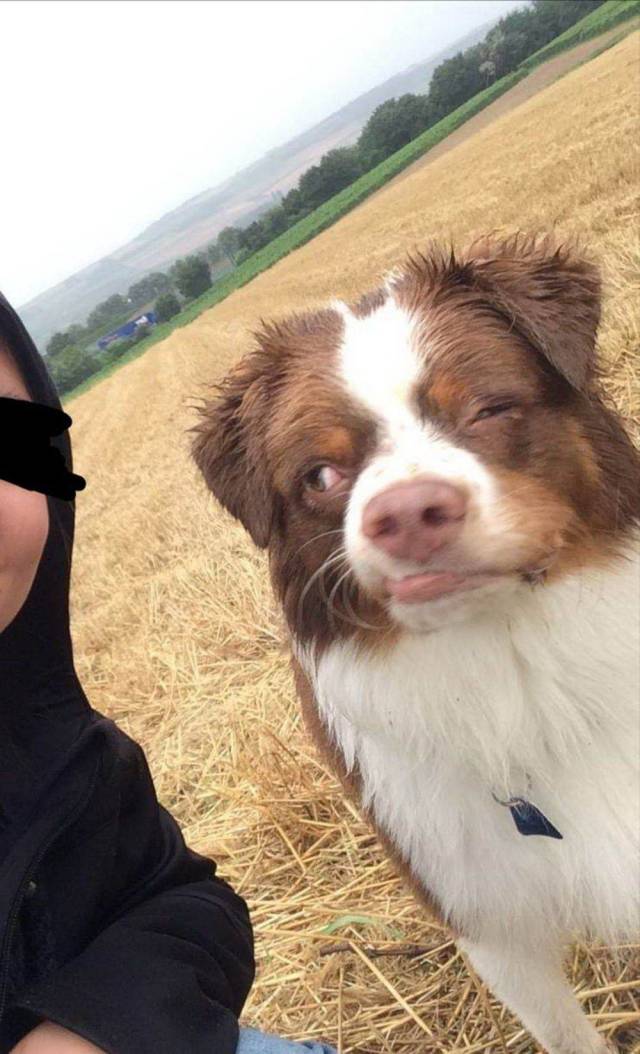 daily picdump 96 pics 3.html - 96 HD Photos | Premium Gallery 2019