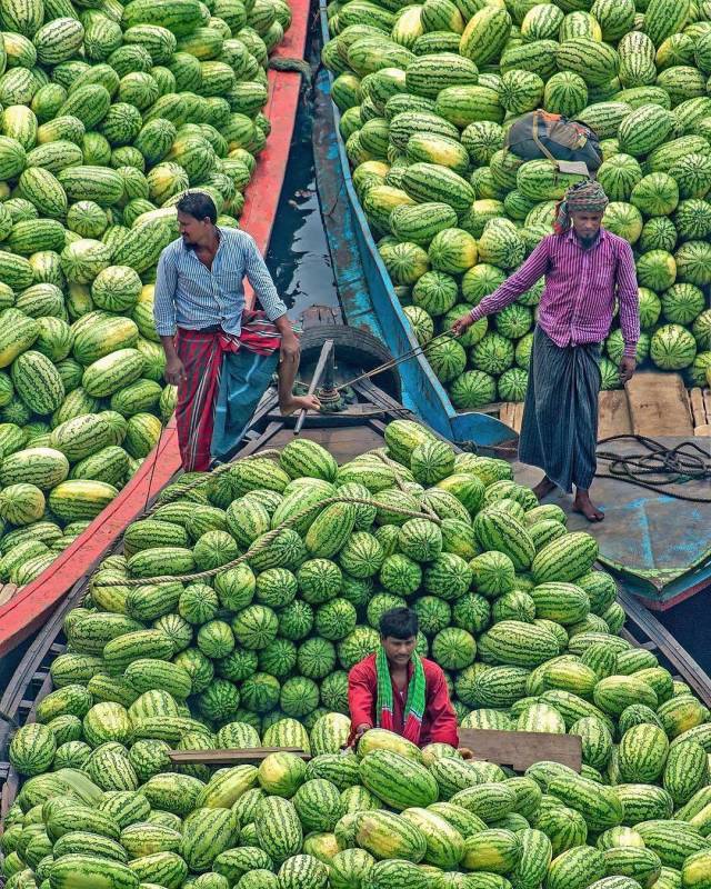 daily picdump 96 pics 3.html - 96 HD Photos | Premium Gallery 2019