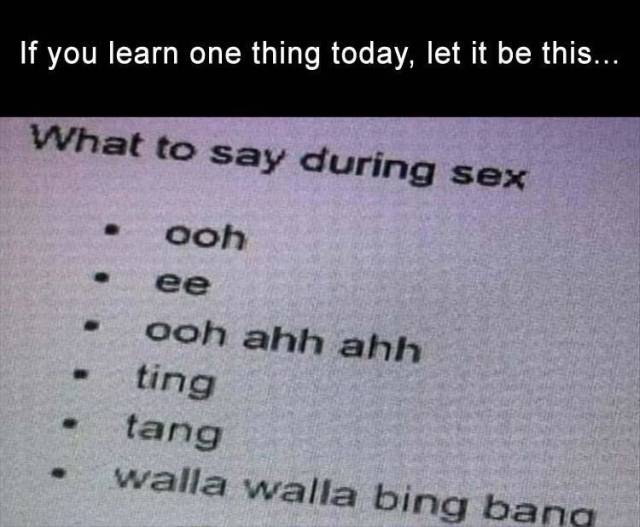 funny picdump 53 pics 21.html - 53 HD Photos | Premium Gallery 2019