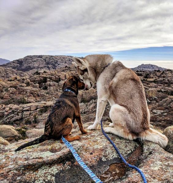 morning picdump 55 pics 12.html - 55 HD Photos | Premium Gallery 2019