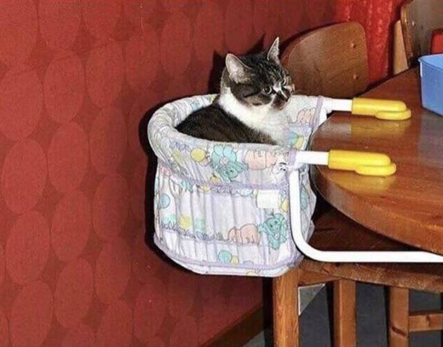 morning picdump 55 pics 12.html - 55 HD Photos | Premium Gallery 2019