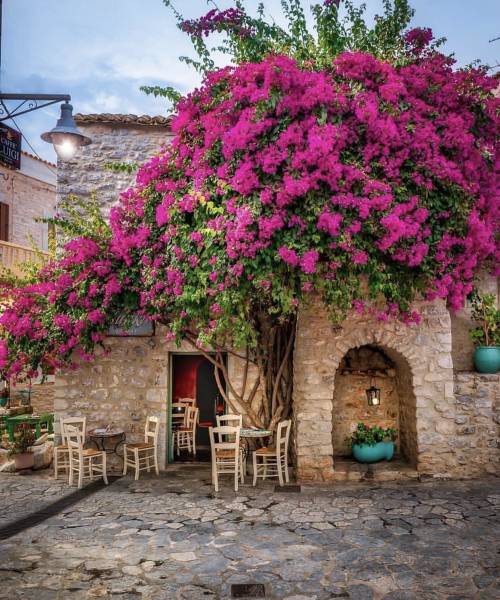 morning picdump 55 pics 12.html - 55 HD Photos | Premium Gallery 2019