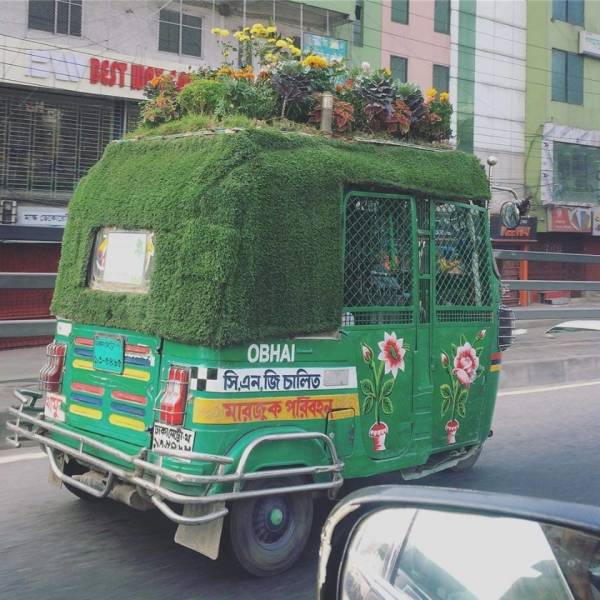 morning picdump 55 pics 12.html - 55 HD Photos | Premium Gallery 2019