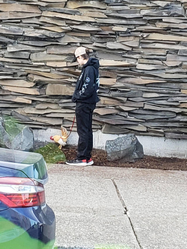 morning picdump 55 pics 12.html - 55 HD Photos | Premium Gallery 2019