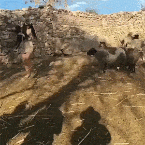 Hotties Are Still Hot When They Fail