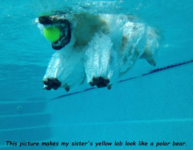 daily picdump 99 pics 12.html - 99 HD Photos | Premium Gallery 2019